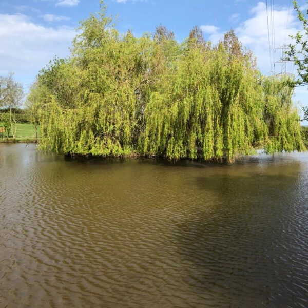 Staffordshire's Chorley Springs Fishery