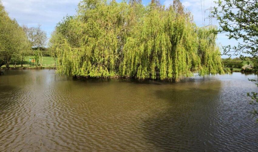 Staffordshire's Chorley Springs Fishery