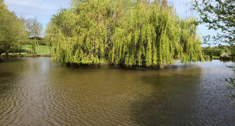 Staffordshire's Chorley Springs Fishery