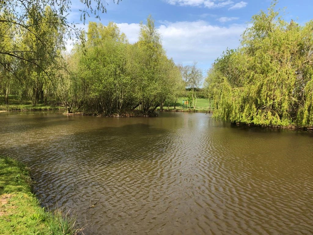 Chorley Springs Fishery