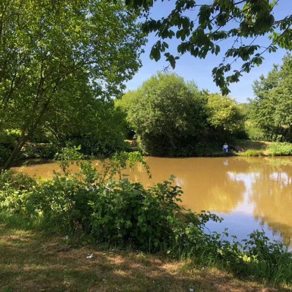 Staffordshire's Chorley Springs Fishery