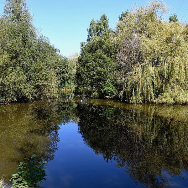 Staffordshire's Chorley Springs Fishery