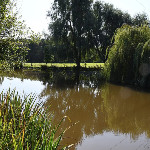 Staffordshire's Chorley Springs Fishery