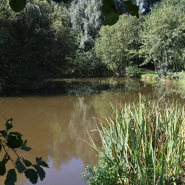 Staffordshire's Chorley Springs Fishery