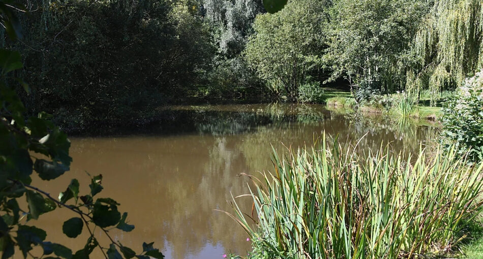 Staffordshire's Chorley Springs Fishery