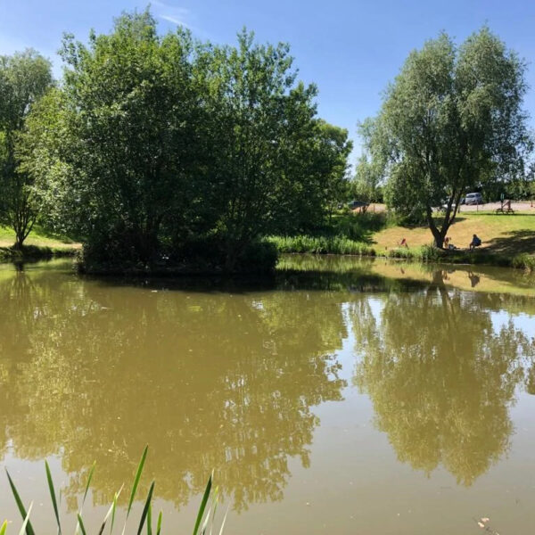 Staffordshire's Chorley Springs Fishery