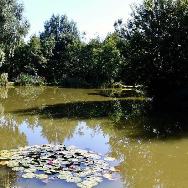 Staffordshire's Chorley Springs Fishery