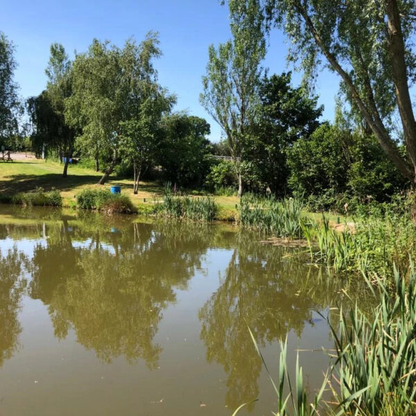 Staffordshire's Chorley Springs Fishery