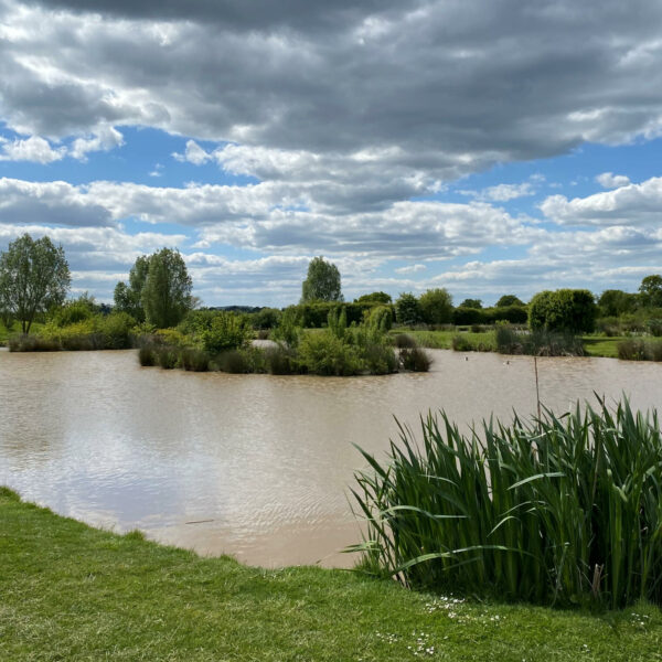 Carp Lake at New Farm Fishery in Cheshire