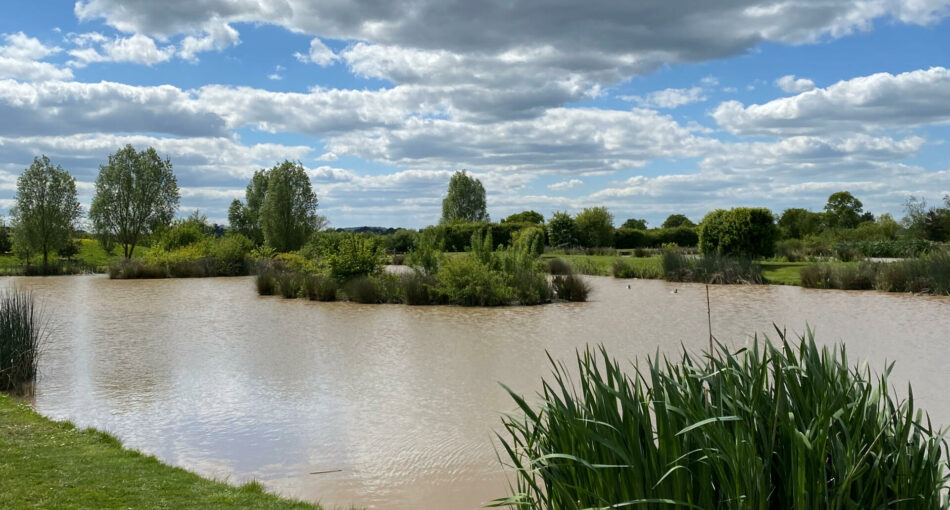 Carp Lake at New Farm Fishery in Cheshire