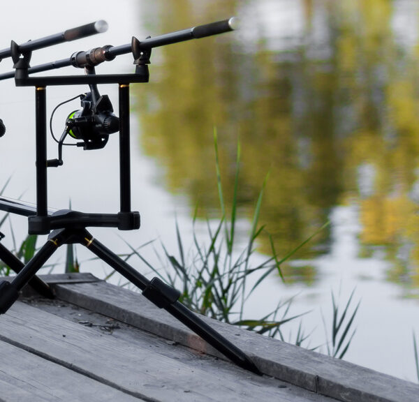 Fisheries and fishing venues in Essex Fisheries.co.uk