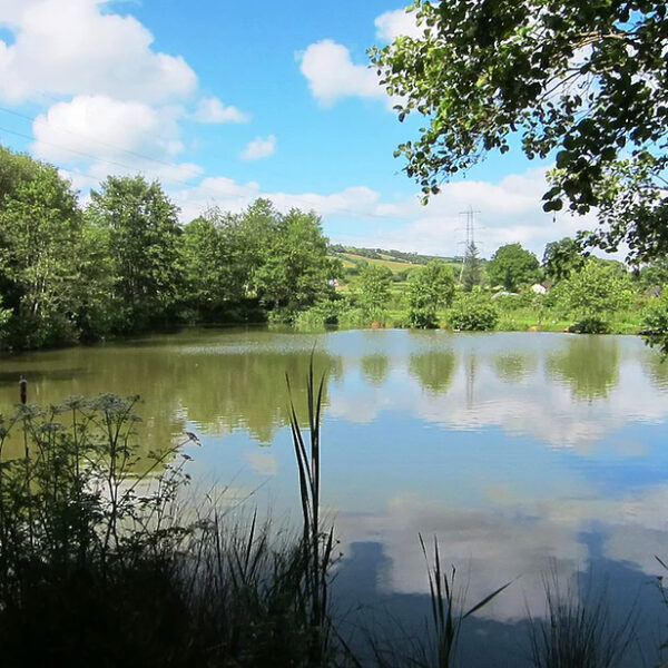 Four Ponds Fishery Devon