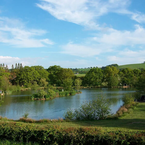 Four Ponds Fishery Devon