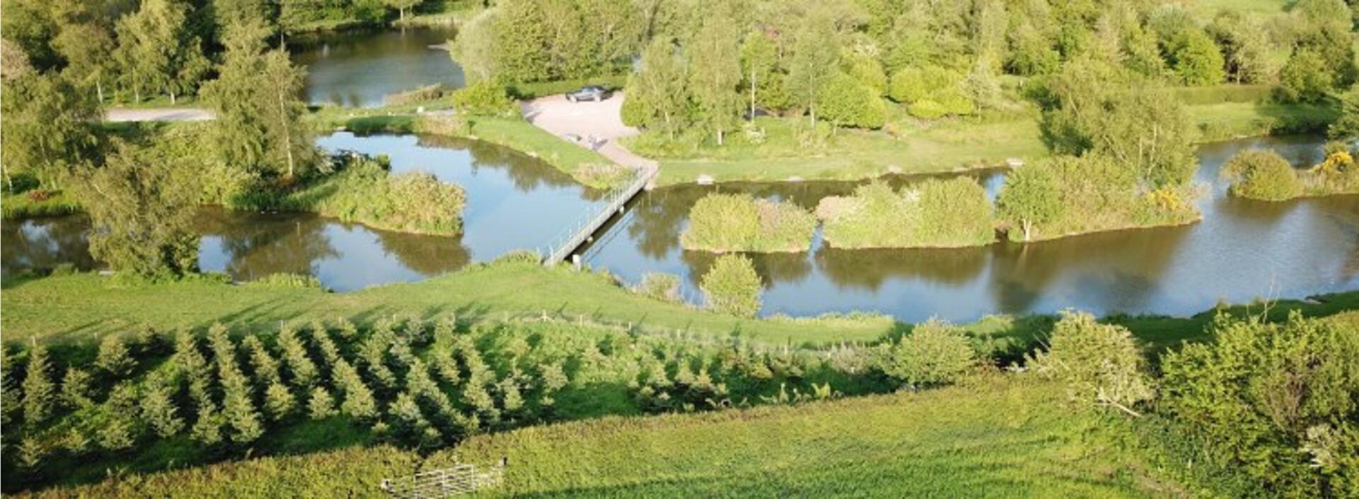 Hampton Springs Fishery Fisheries.co.uk