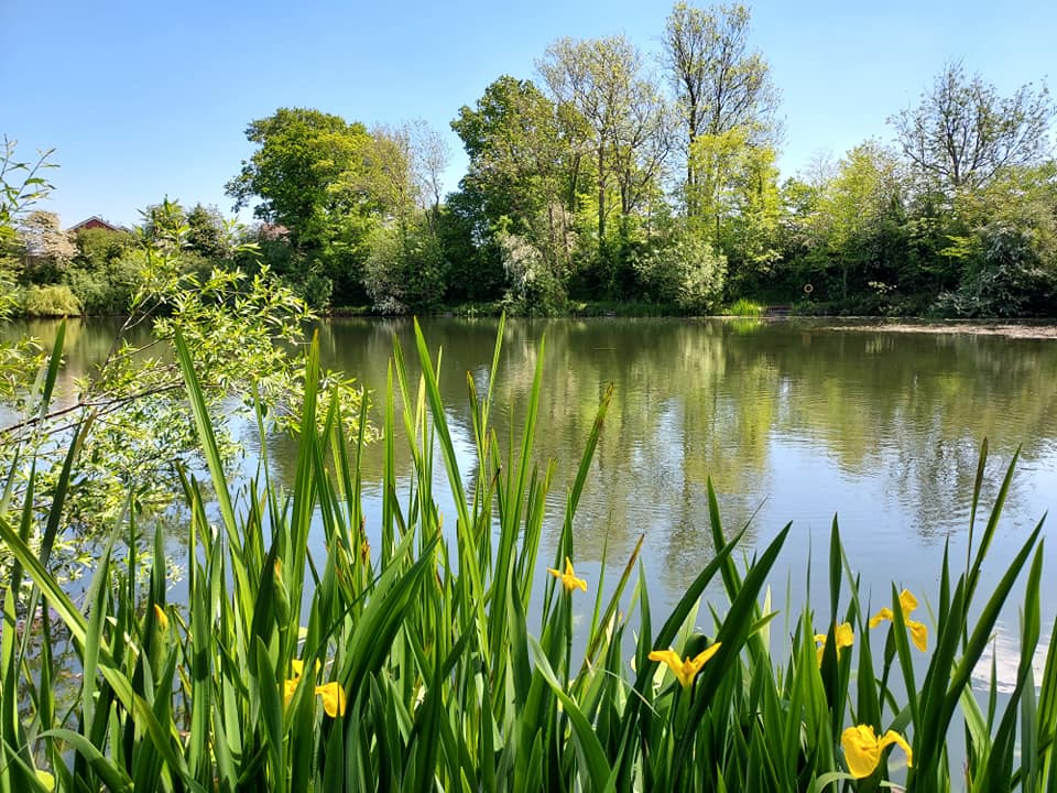 Little Pit Fishery