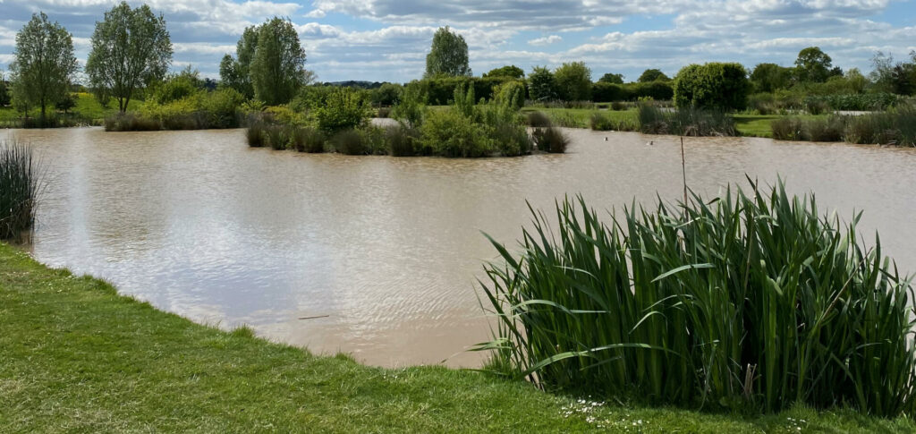 New Farm Fishery