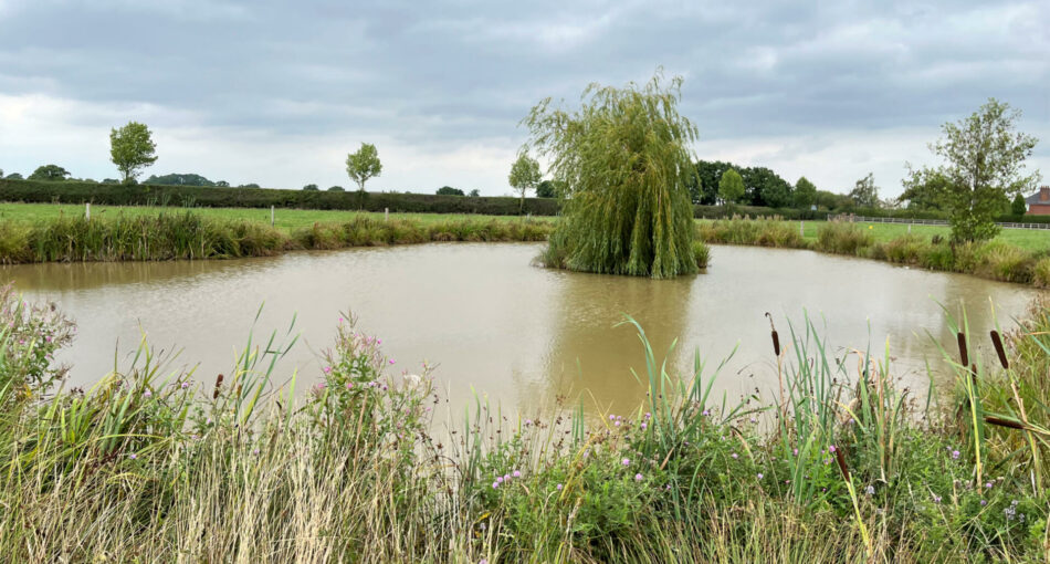 Mark's Lake at New Farm Fishery in Cheshire