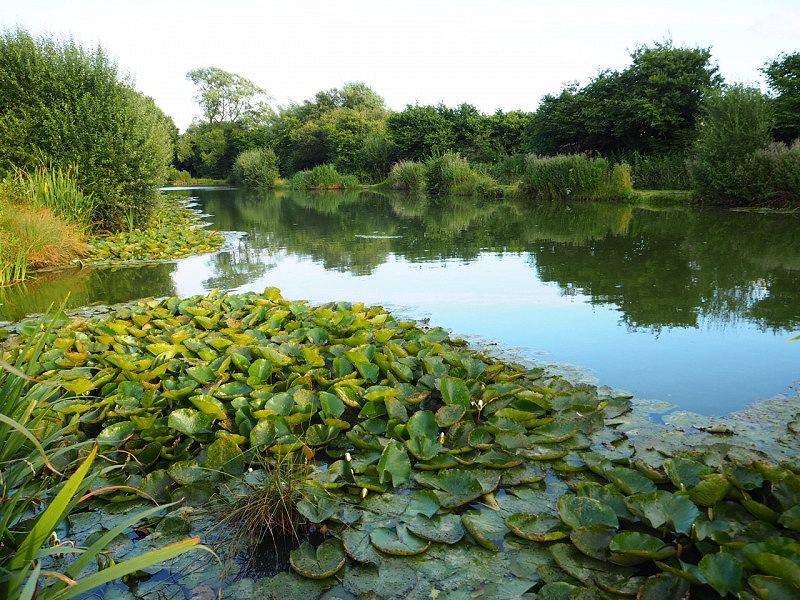 Todber Manor Fisheries 