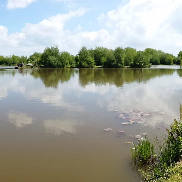 Wildmarsh Lake at Trinity Waters Fishery in Somerset