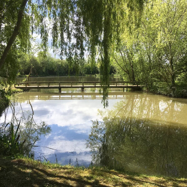 Another shot of Wildmarsh Lake atTrinity Waters Fishery in Somerset