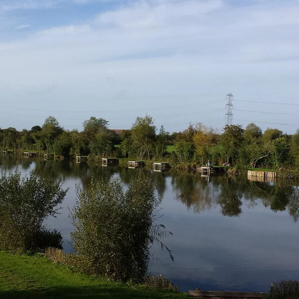 Woodland Lake at Trinity Waters Fishery in Somerset