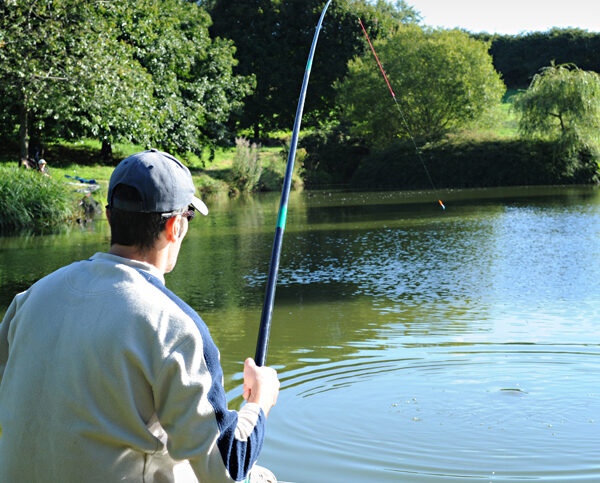 West Pitt Farm Fishery in Devon