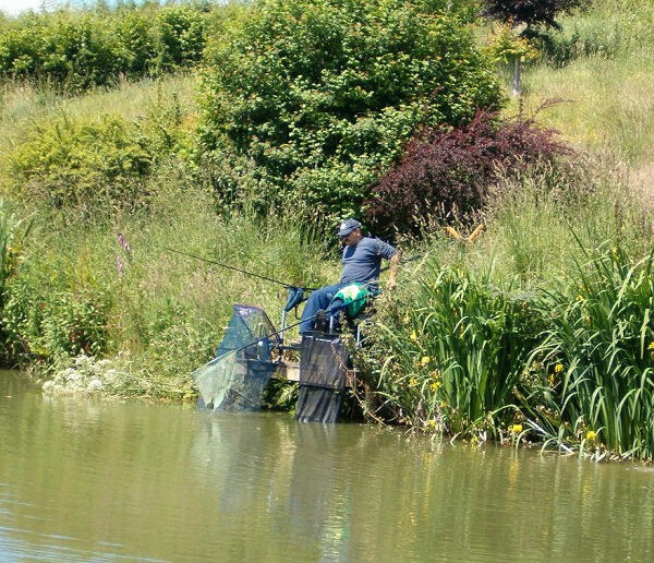 West Pitt Farm Fishery in Devon