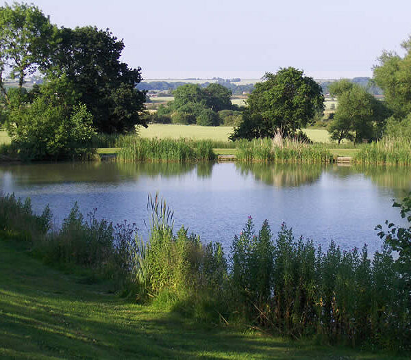 Woodlands Fishery in Lincolnshire