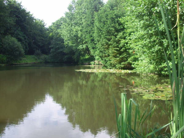 Woodlands Fishery in Lincolnshire