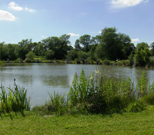 Woodlands Fishery in Lincolnshire