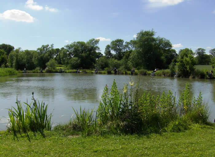 Woodlands Fishery in Lincolnshire