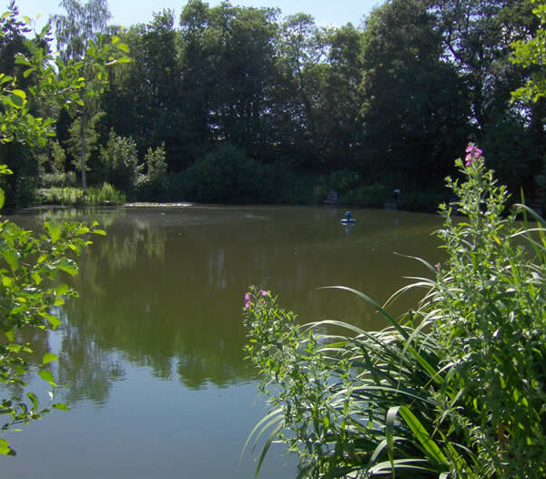 Woodlands Fishery in Lincolnshire