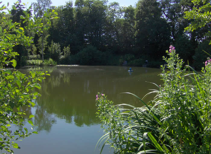 Woodlands Fishery in Lincolnshire