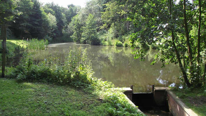 Woodlands Fishery in Lincolnshire