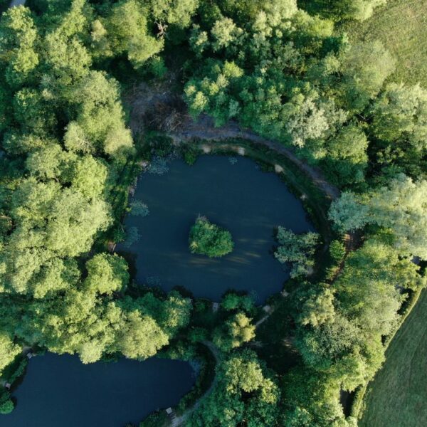 Birch House Lakes