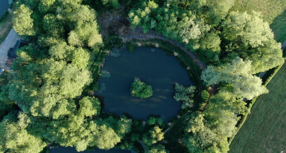 Birch House Lakes - Doughnut