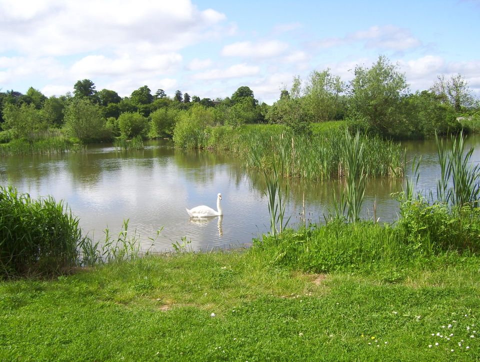 Hawford Bridge Fishery