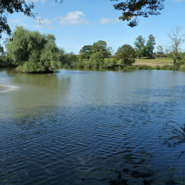 Estate Lake at Knowle in the West Midlands offers exclusive fishing