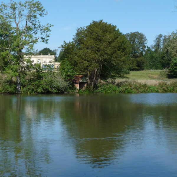 Estate Lake at Knowle in the West Midlands offers exclusive fishing