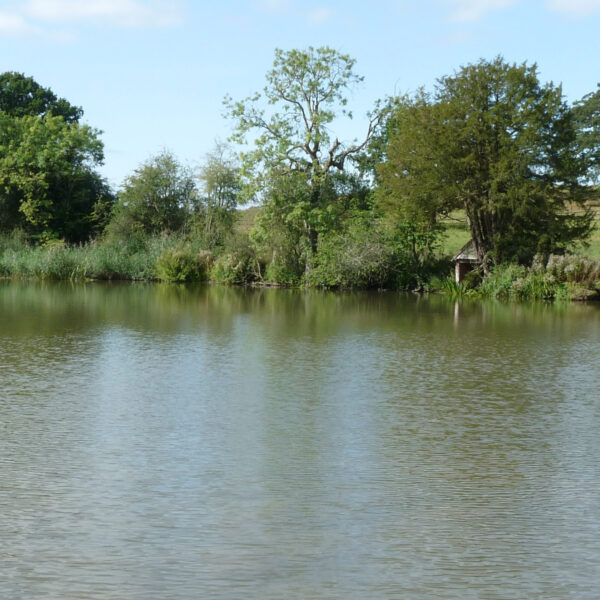 Estate Lake at Knowle in the West Midlands offers exclusive fishing