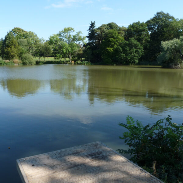 Estate Lake at Knowle in the West Midlands offers exclusive fishing