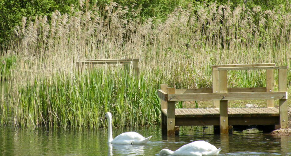 Gibsons Pool at Kingsbury Water Park in the West Midlands