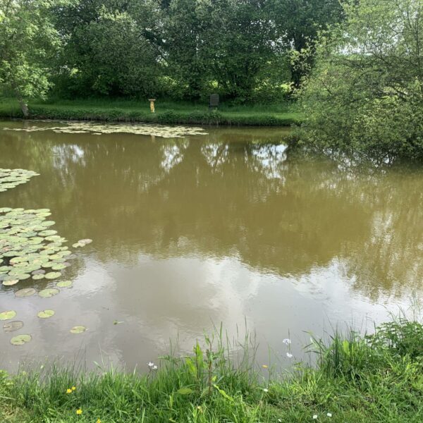 Rosefern Pool near Bromyard in Herefordshire