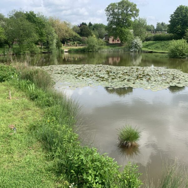 Rosefern Pool near Bromyard in Herefordshire