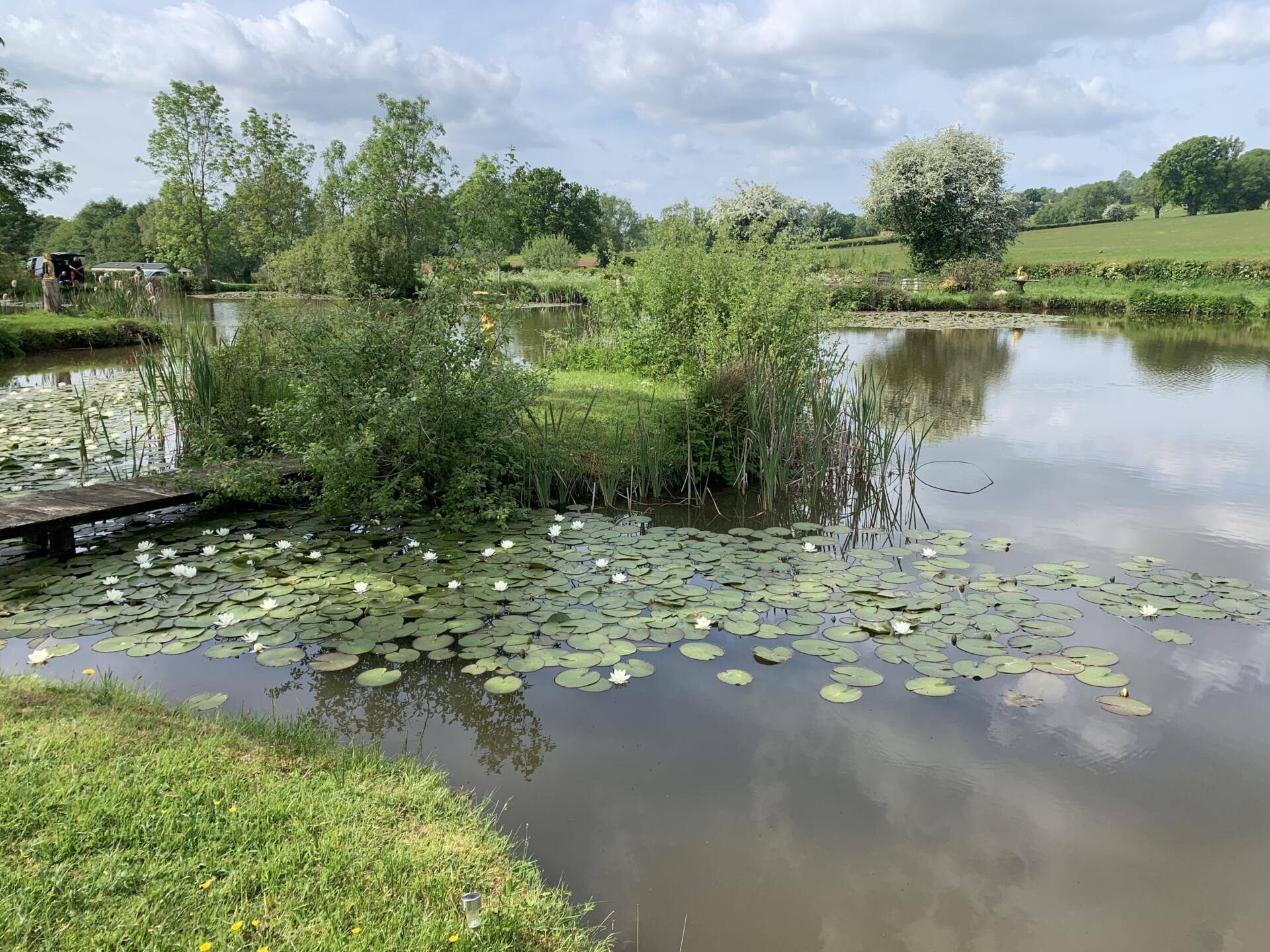 Rosefern Pool near Bromyard in Herefordshire