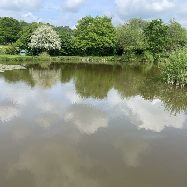 Rosefern Pool near Bromyard in Herefordshire