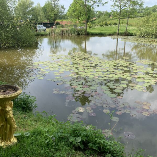 Rosefern Pool near Bromyard in Herefordshire