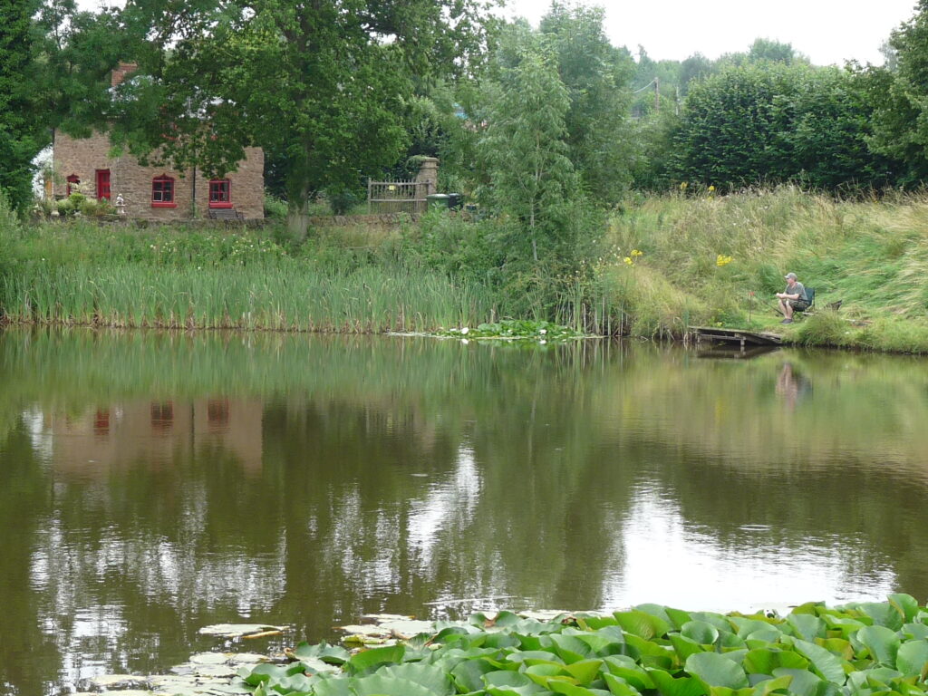 Rosefern Pool