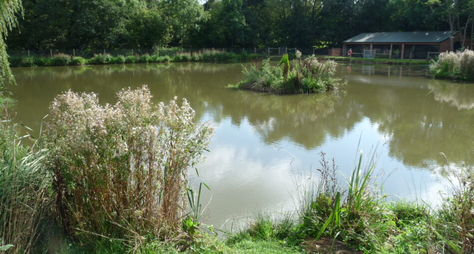 Arrow Meadow Carp Fishery at Alvechurch in the West Midlands