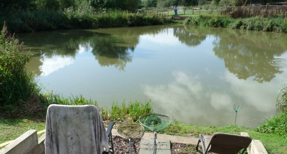 The mixed fish Pleasure Pool at Arrow Meadow Fisheries